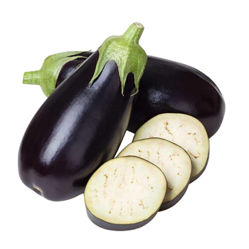 Hollandse Aubergine