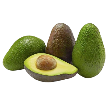Avocado XL