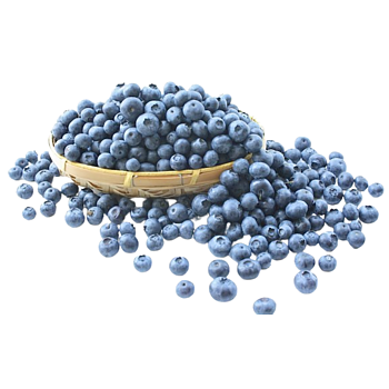 Blauwe bessen