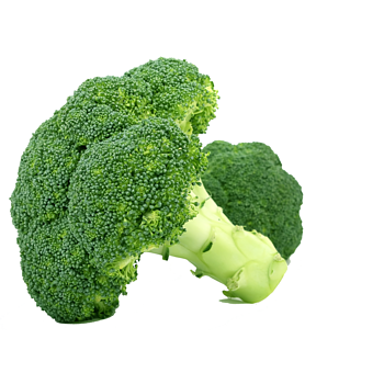 Broccoli