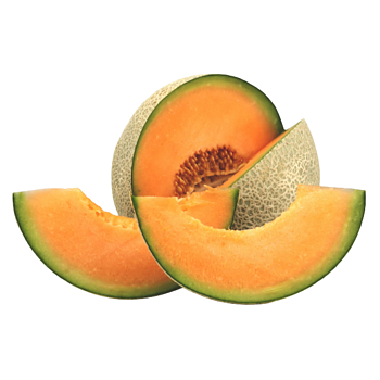 Cantaloupe Meloen
