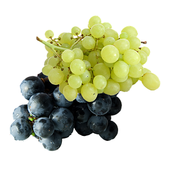 De beste Italiaanse pitloze druiven blauwe en wit