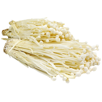 Enoki