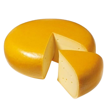 Goudse Jonge Kaas