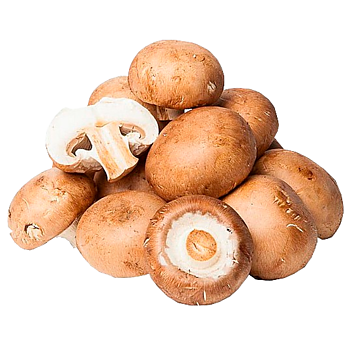 Hollande kastanje Champignons