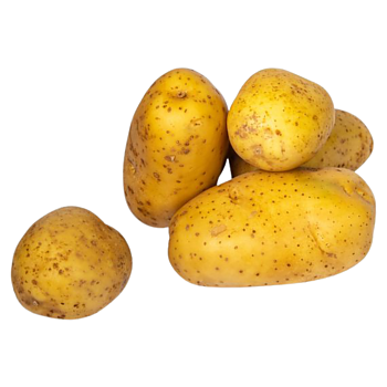 Hollandse Bonken aardappelen