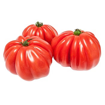 Hollandse Coeur de Boeuf tomaten