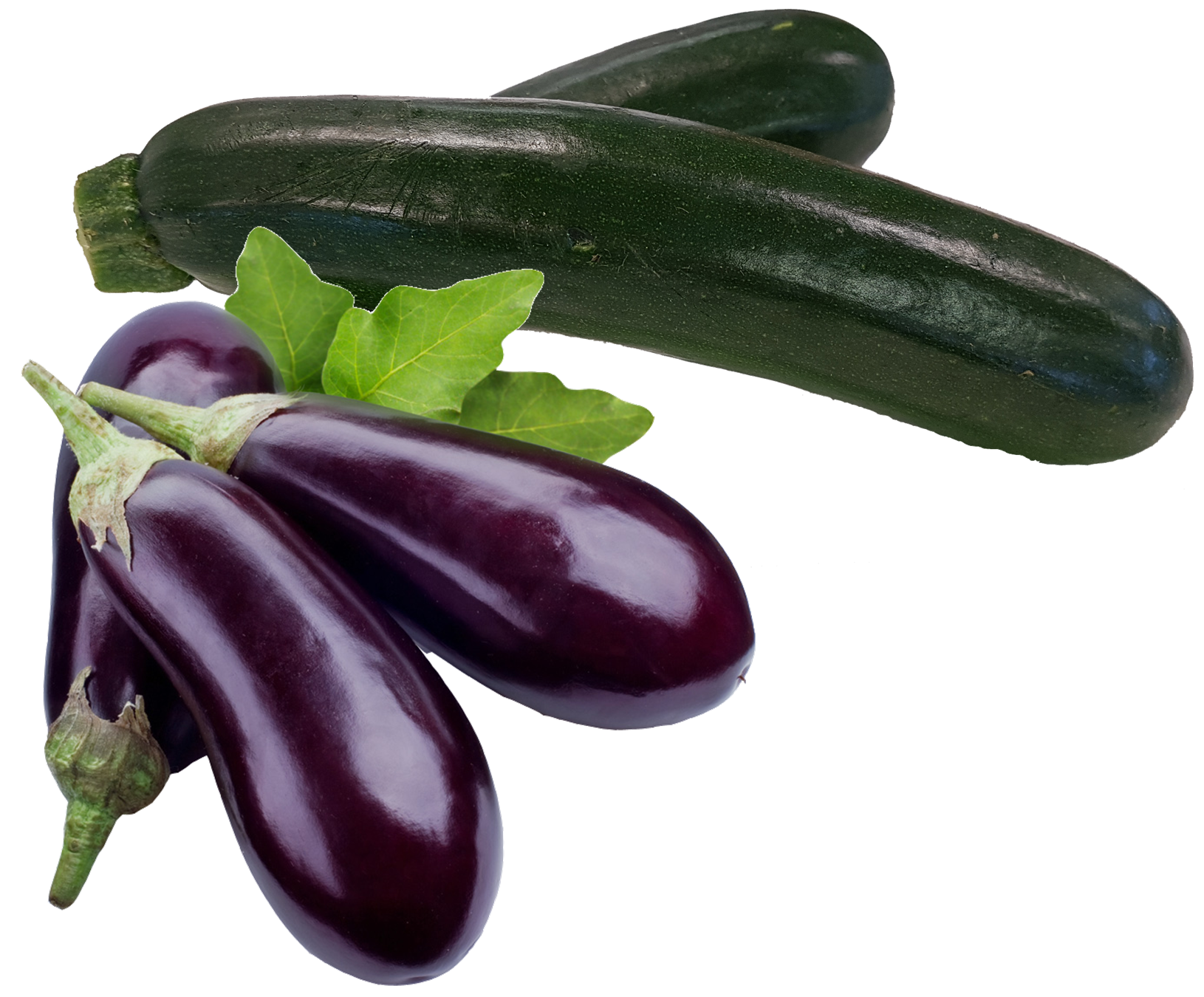 Hollandse Courgette of Aubergine