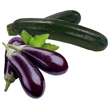 Hollandse Courgette of Aubergine
