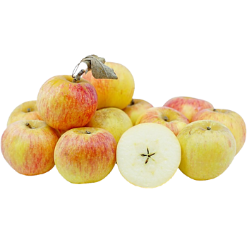 Hollandse nieuwe oogst Cox appels