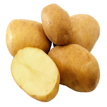 Hollandse Doré aardappelen nieuwe oogst
