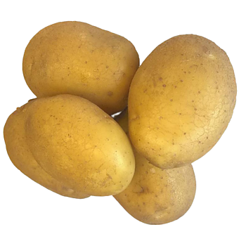 Hollandse Dor&eacute; aardappelen