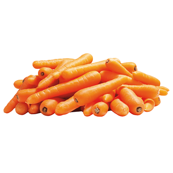 Hollandse kleine Worteltjes