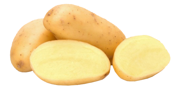 Hollandse Nicola aardappelen