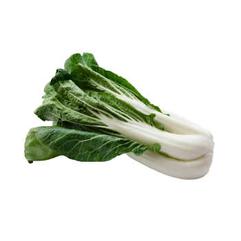 Hollandse Paksoi