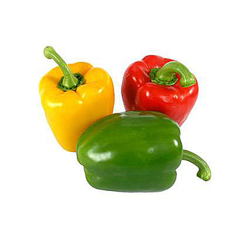 Hollandse Paprika