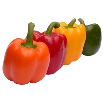 Hollandse Paprika