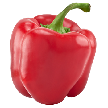 Hollandse Paprika’s