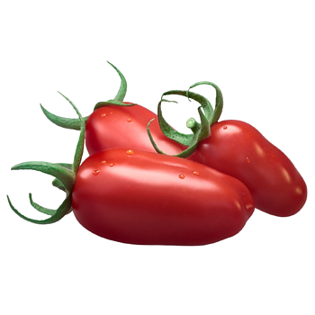 Hollandse San Marzano Tomaten