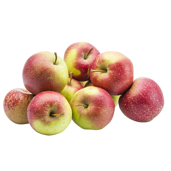 Hollandse Wellant appels