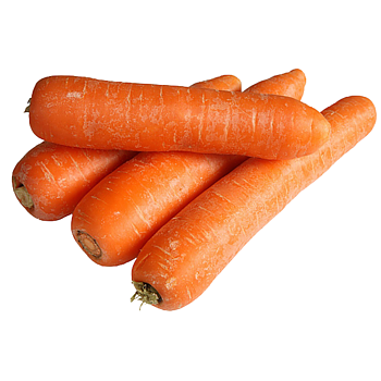 Hollandse Winterpeen