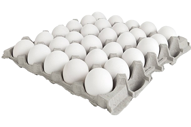 Hollandse Witte Eieren maat M
