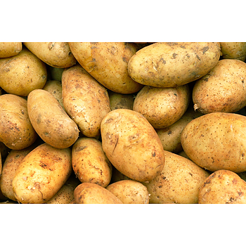 Hollandse Zeeuwse Roem