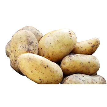 Hollandse Zeeuwse Roem