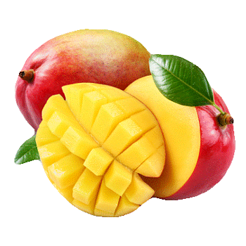 Mango XL