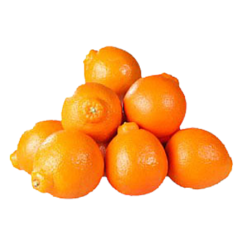 Mineola’s