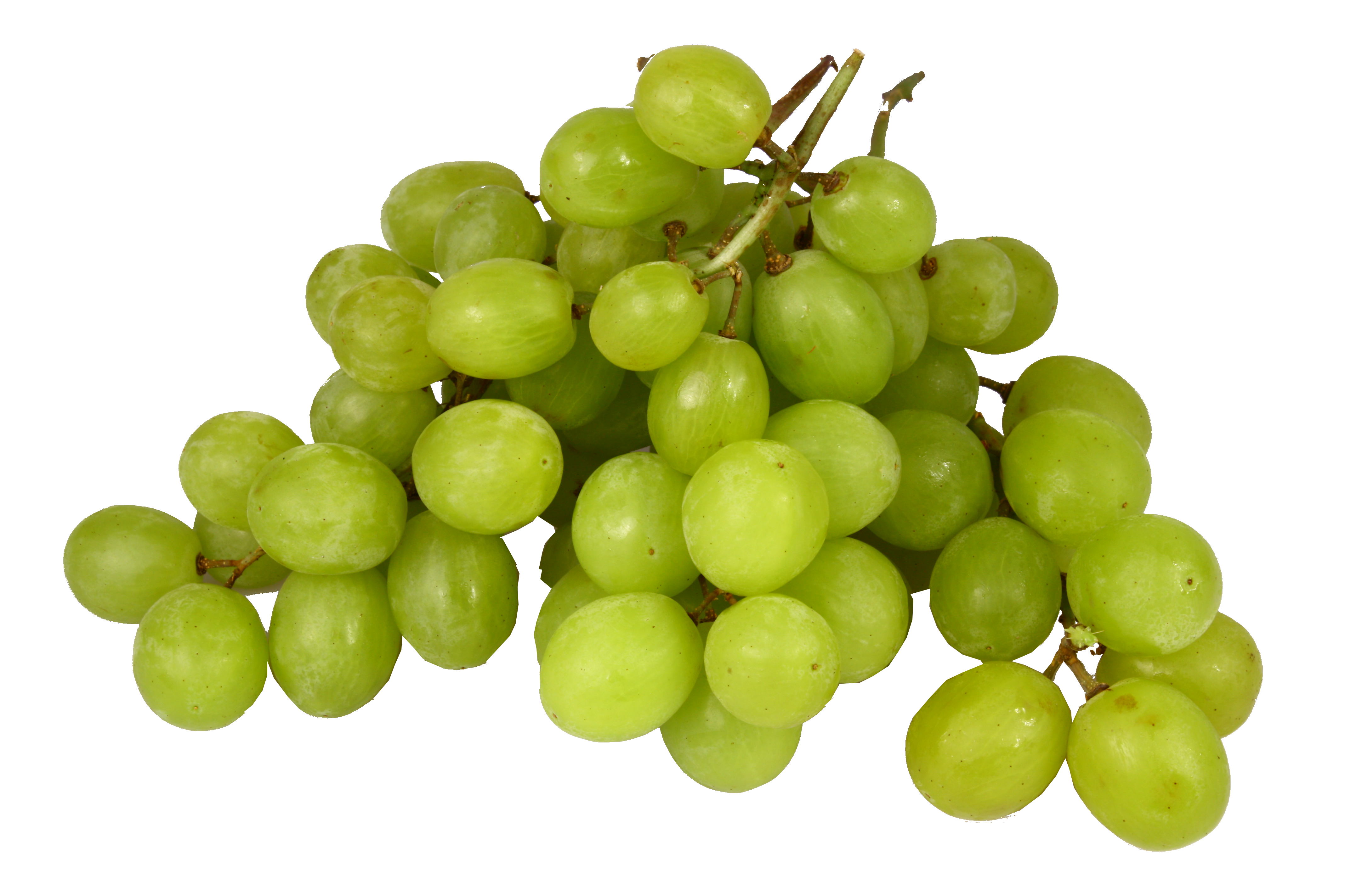 Witte Muskaat  Druiven