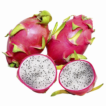 Pitahaya XL