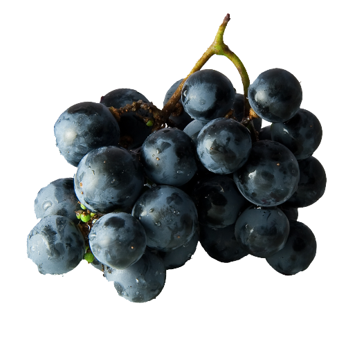 Pitloze Blauwe Druiven