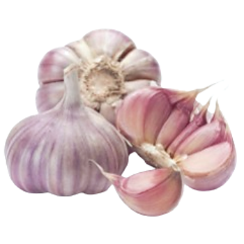 Roze Knoflook
