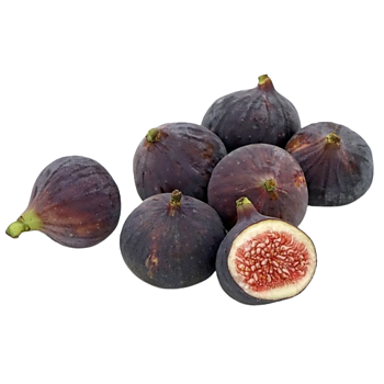 Verse Vijgen