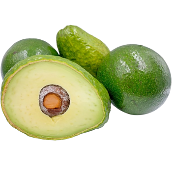 XL Avocado&rsquo;s