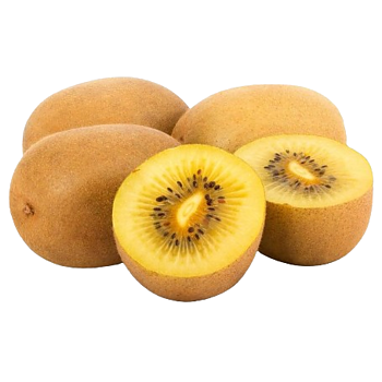 Zespri Kiwi Sungold